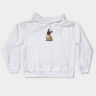 French Bulldog Kids Hoodie